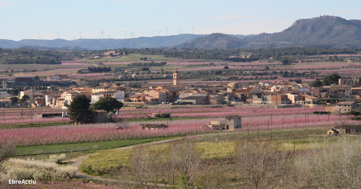 La Reserva de la Biosfera de les Terres de l’Ebre es promocionar com el territori ms sostenible i el principal productor agroalimentari de proximitat | EbreActiu.cat, revista digital d’oci actiu | Terres de l’Ebre ...