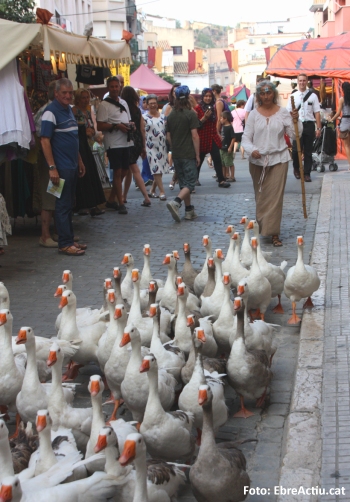 La XXII Festa del Renaixement de Tortosa acaba con una valoracin muy positiva | EbreActiu.cat, revista digital de ocio activo | Terres de l’Ebre...