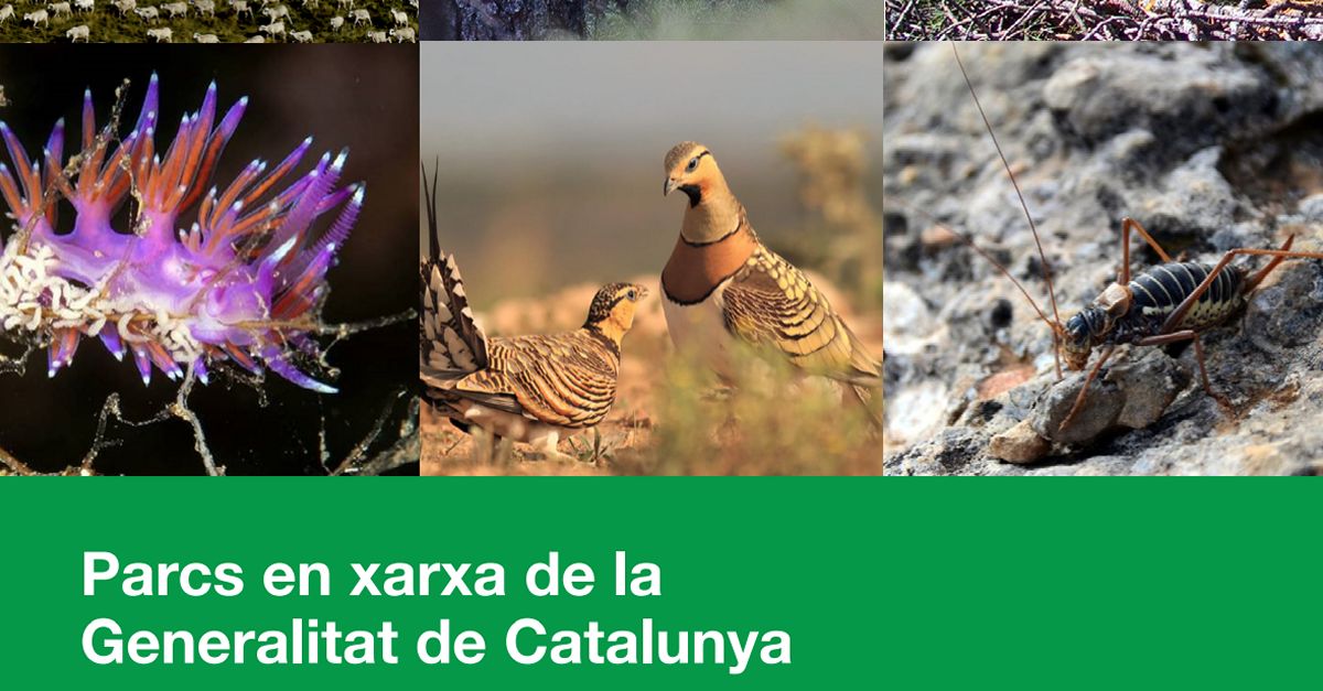 Es publica  el primer Resum dactuacions i activitats 2023 dels Parcs naturals en xarxa de la Generalitat de Catalunya