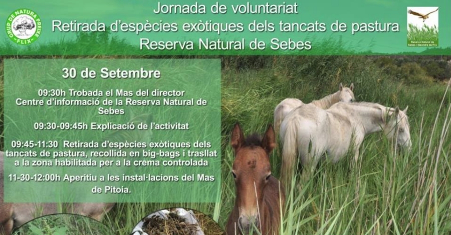 Jornada de voluntariat: Retirada despcies extiques dels tancats de pastura a la Reserva Natural de Sebes