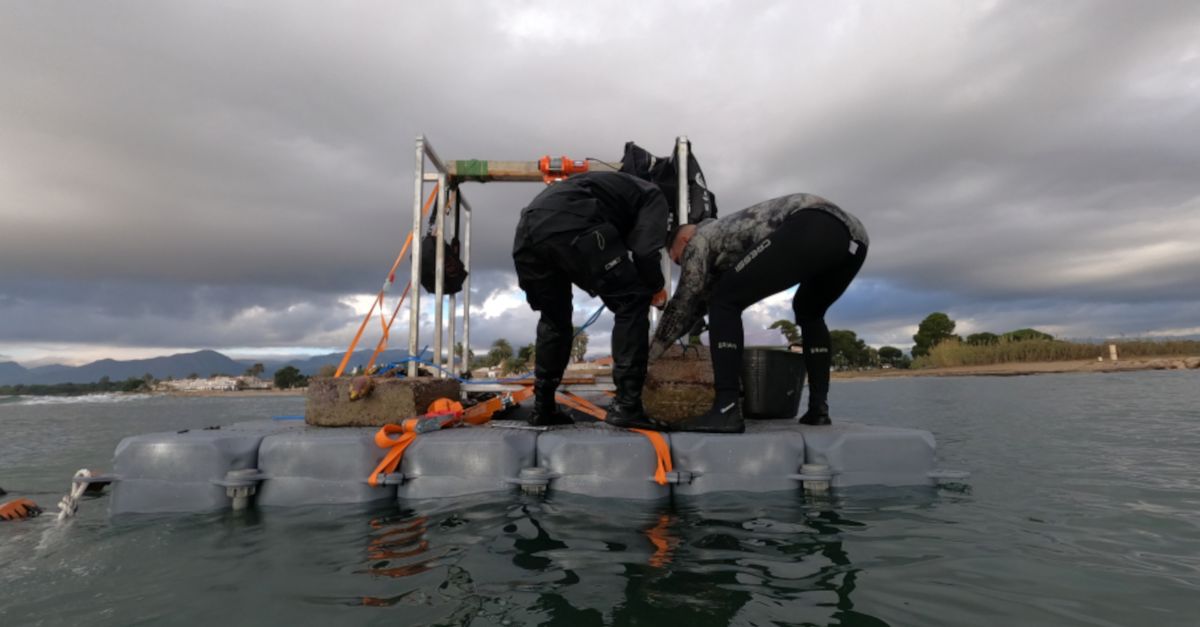 Retiren 1,4 tones de residus de praderies de posidnia i gram del litoral tarragon | EbreActiu.cat, revista digital d’oci actiu | Terres de l’Ebre ...