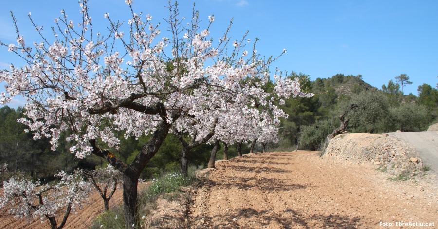 Es reuneix la Mesa Territorial d’Adaptaci al Canvi Climtic de les Terres de l’Ebre | EbreActiu.cat, revista digital d’oci actiu | Terres de l’Ebre ...