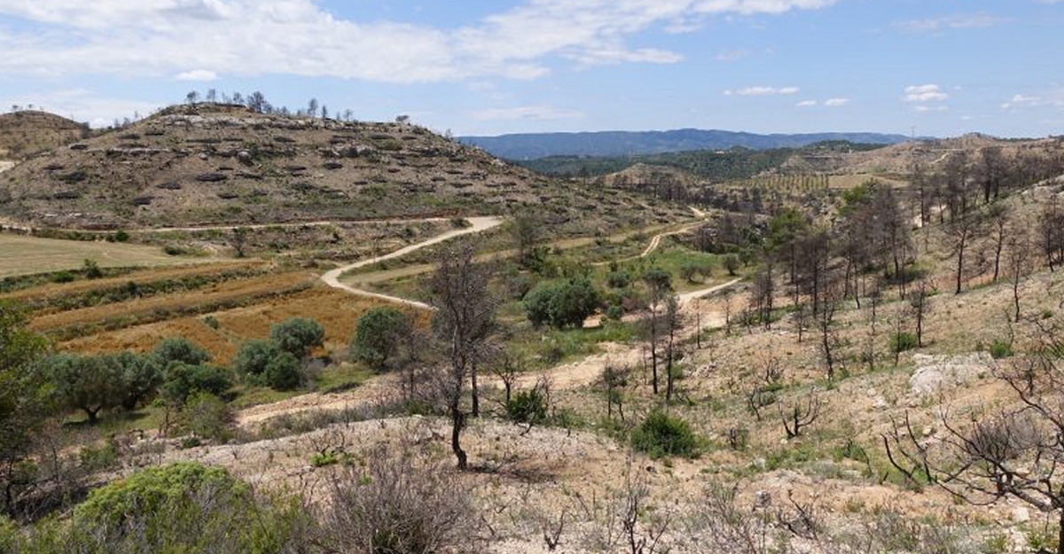 Un any desprs de l’incendi, la Ribera demana ms esforos perqu els pagesos puguin viure de la terra | EbreActiu.cat, revista digital d’oci actiu | Terres de l’Ebre ...