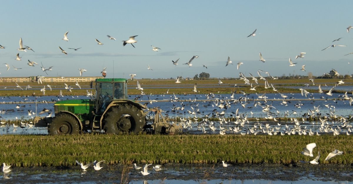 Riet Vell rep el premi als Millors Productors Sostenibles d’Espanya | EbreActiu.cat, revista digital d’oci actiu | Terres de l’Ebre ...