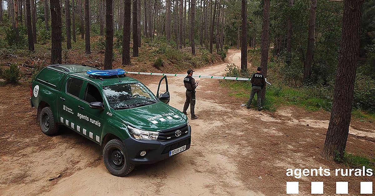 Els Agents Rurals demanen extremar les precaucions davant d’un dels episodis amb ms perill d’incendi forestal dels ltims anys | EbreActiu.cat, revista digital d’oci actiu | Terres de l’Ebre ...