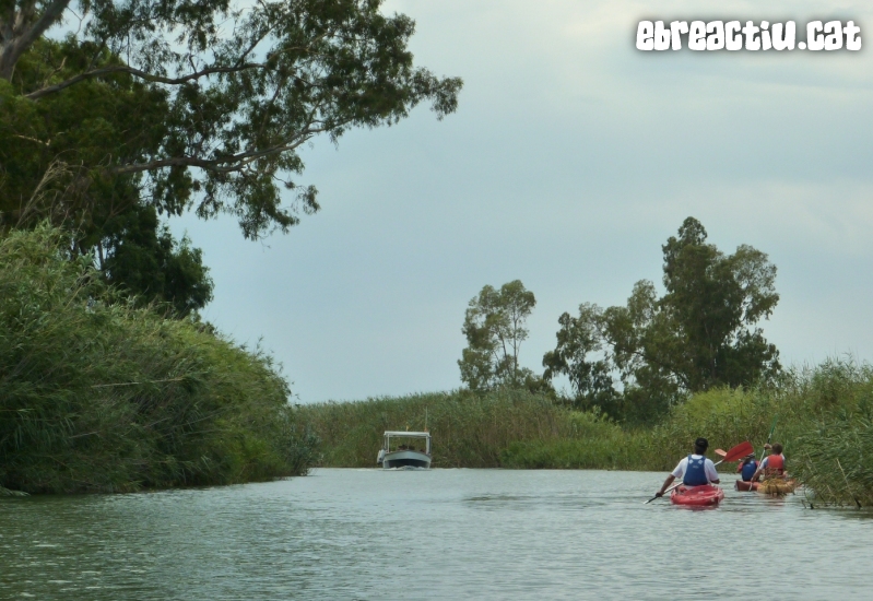 Riu Ebre i gola de Migjorn amb caiac | EbreActiu.cat, revista digital d’oci actiu | Terres de l’Ebre ...