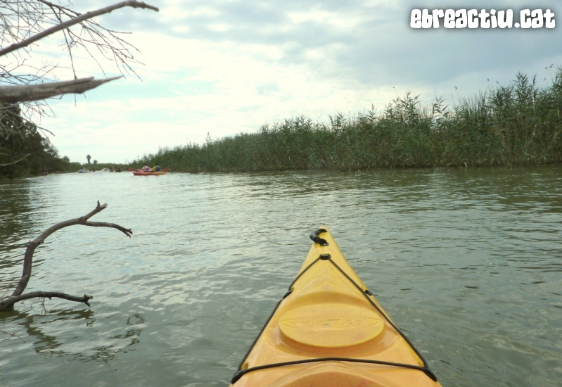 Riu Ebre i gola de Migjorn amb caiac | EbreActiu.cat, revista digital d’oci actiu | Terres de l’Ebre ...