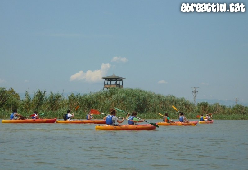 Riu Ebre i gola de Migjorn amb caiac | EbreActiu.cat, revista digital d’oci actiu | Terres de l’Ebre ...