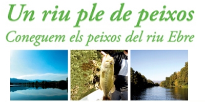 Taller "conixer els peixos de l’Ebre" i demostraci de captura cientfica amb pesca elctrnica