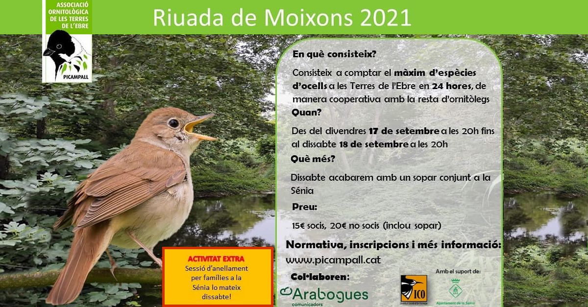 Riuada de moixons 2021