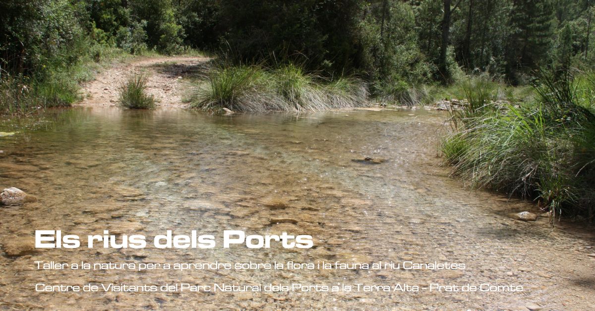 Els rius dels Ports