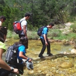 ROGLES AVENTURA<br>Activitats a les Terres de l’Ebre, Priorat i Baix Cinca