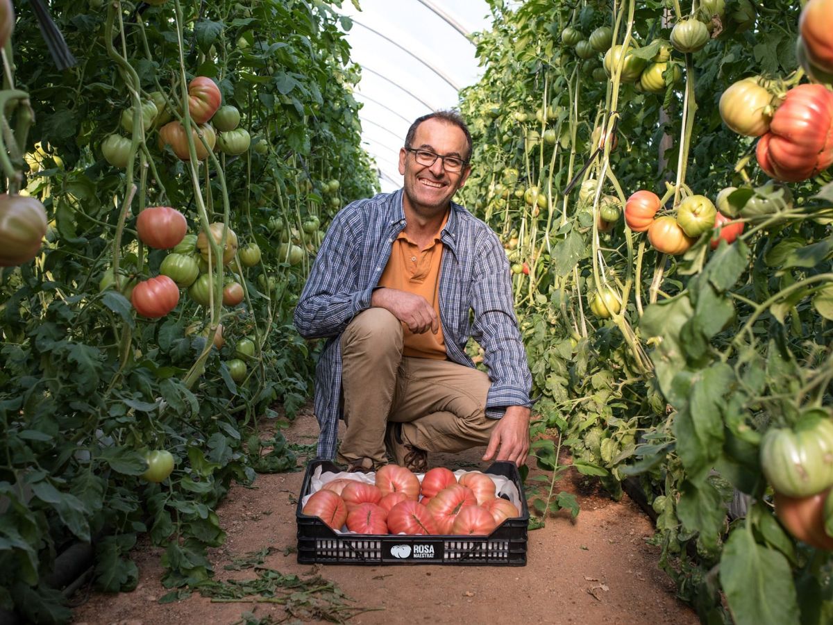 Rosa del Maestrat. Tot el sabor del tomquet amb residu zero | EbreActiu.cat, revista digital d’oci actiu | Terres de l’Ebre ...