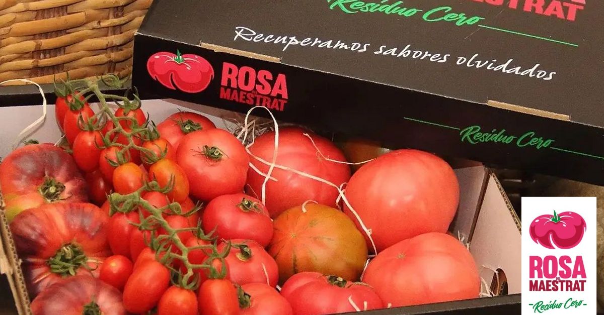 Rosa del Maestrat. Tot el sabor del tomquet amb residu zero | EbreActiu.cat, revista digital d’oci actiu | Terres de l’Ebre ...