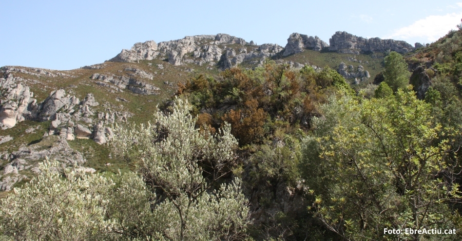 Ruta: Ascens al cim de la Barcina per la Vall del Pastor | EbreActiu.cat, revista digital d’oci actiu | Terres de l’Ebre ...