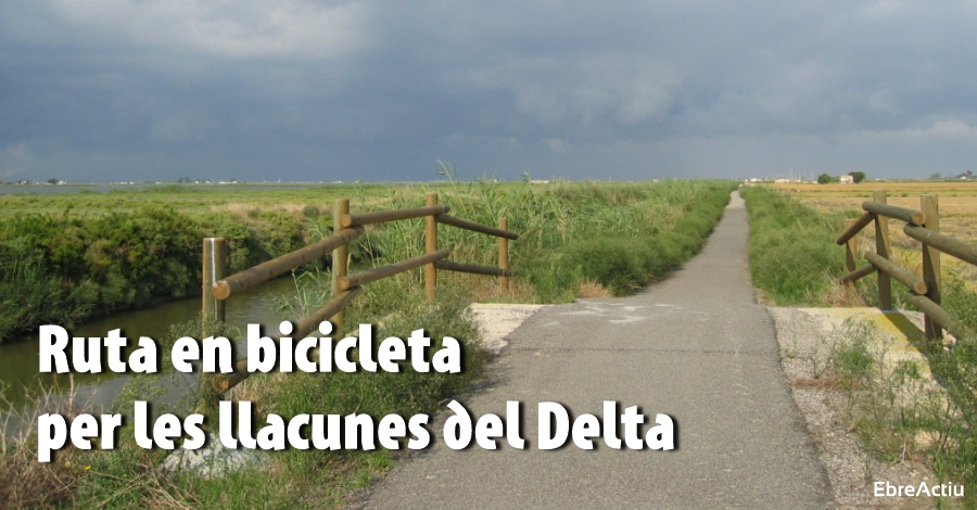 Ruta en bicicleta per les Llacunes del Delta [CANCELLADA]