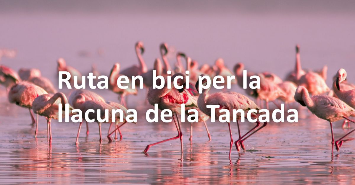 Ruta en bici per la llacuna de la Tancada