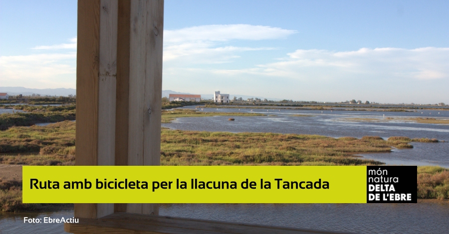 Pedaleando por la baja - Ruta en bicicleta por la laguna de la Tancada