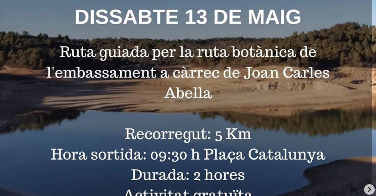 Ruta guiada por la ruta botnica del embalse de la Palma dEbre