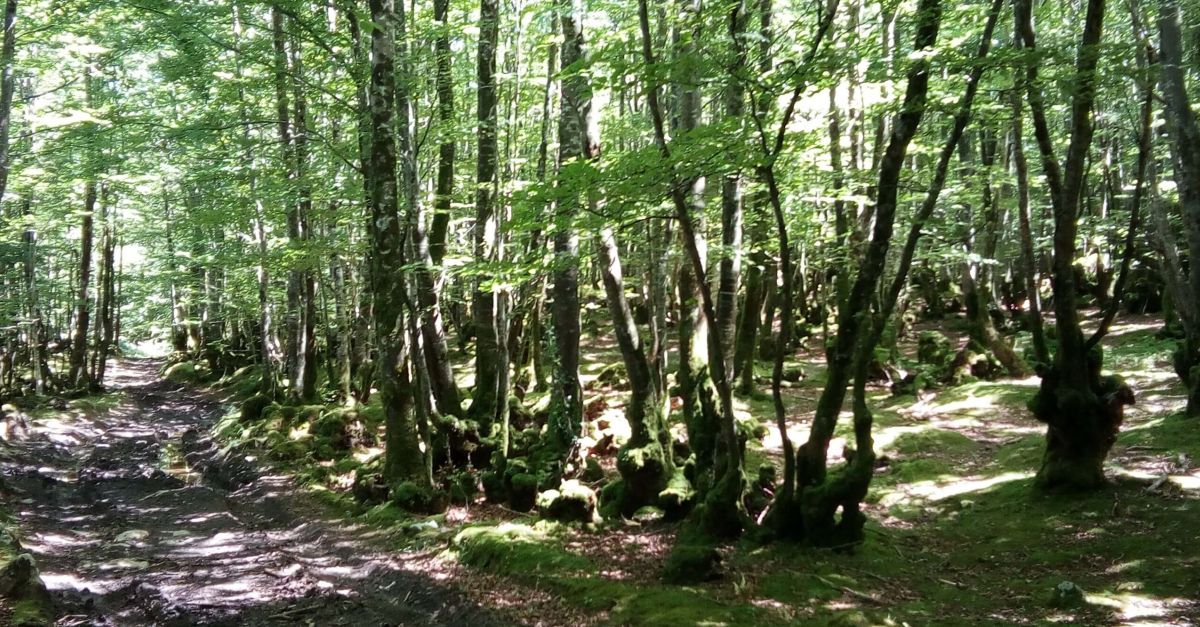 El Cam Ignasi, una nova ruta en Btt per descobrir paisatges des del Pas Basc fins a Catalunya | EbreActiu.cat, revista digital d’oci actiu | Terres de l’Ebre ...