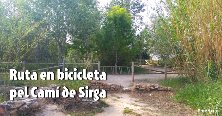 Ruta en bicicleta pel Cam de Sirga (10 km)