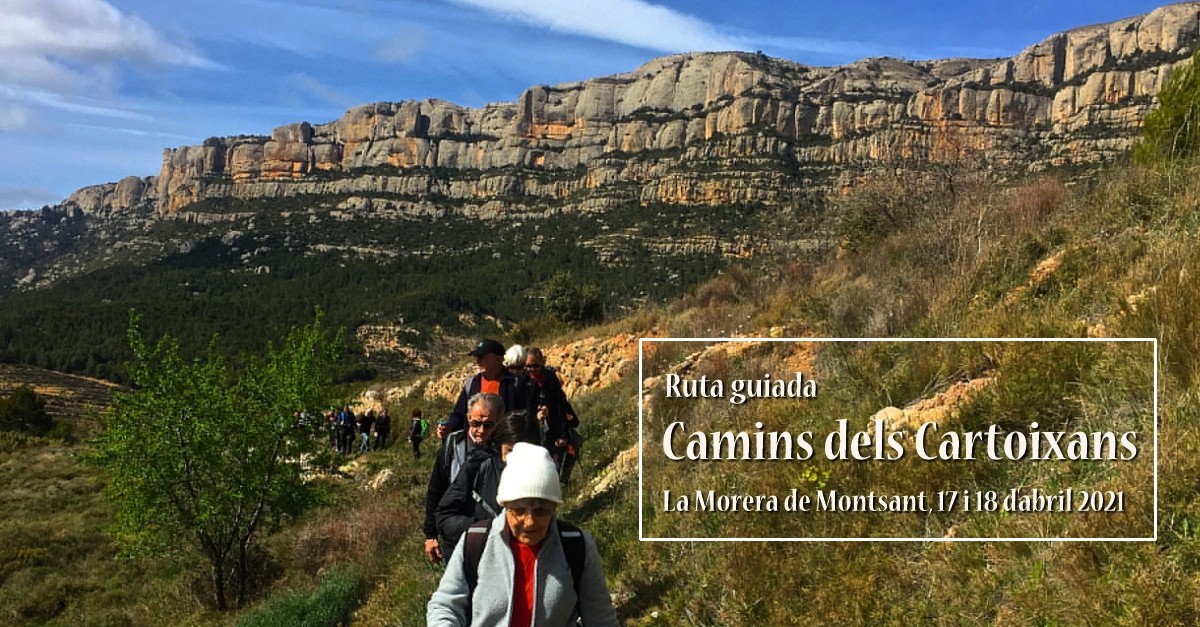 Ruta guiada: Camins dels Cartoixans