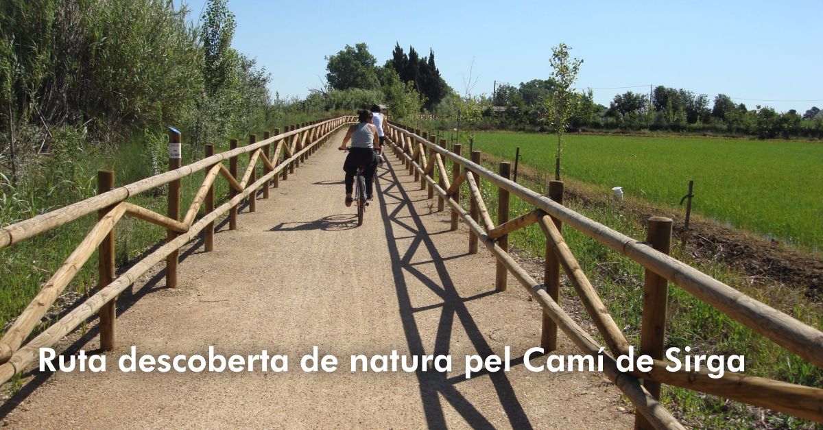 Ruta descubierta de naturaleza por el Camino de Sirga