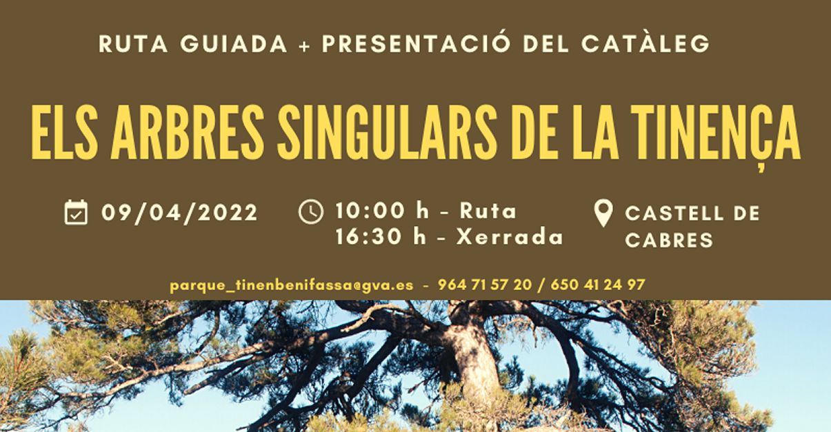 Ruta guiada: Els arbres singulars de la Tinena