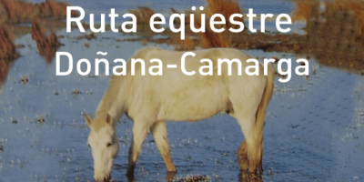 Arribada dels genets, cavalls i carruatges de la ruta eqestre Doana-Camarga