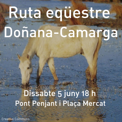 Arribada dels genets, cavalls i carruatges de la ruta eqestre Doana-Camarga