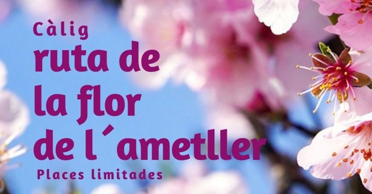 II Ruta de la flor de l’ametller a Clig