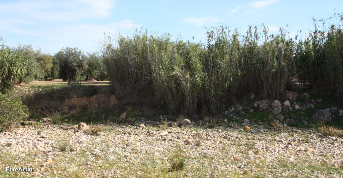 Ruta: Masdenverge - Basses de la Foia | EbreActiu.cat, revista digital d’oci actiu | Terres de l’Ebre ...