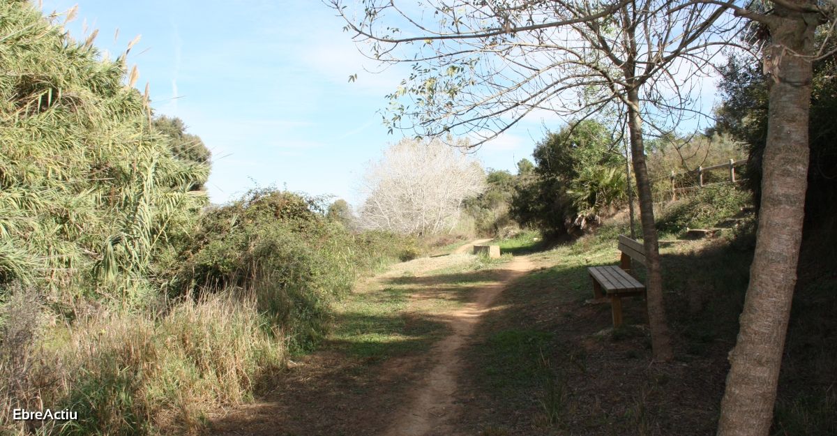 Ruta: Masdenverge - Basses de la Foia | EbreActiu.cat, revista digital de ocio activo | Terres de l’Ebre...