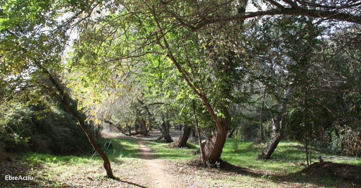 Ruta: Masdenverge - Basses de la Foia | EbreActiu.cat, revista digital de ocio activo | Terres de l’Ebre...