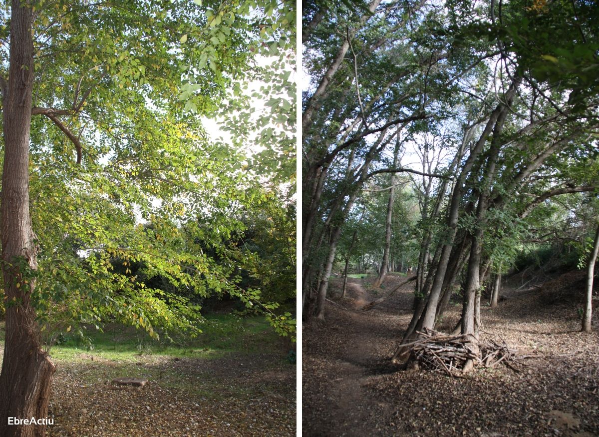 Ruta: Masdenverge - Basses de la Foia | EbreActiu.cat, revista digital de ocio activo | Terres de l’Ebre...