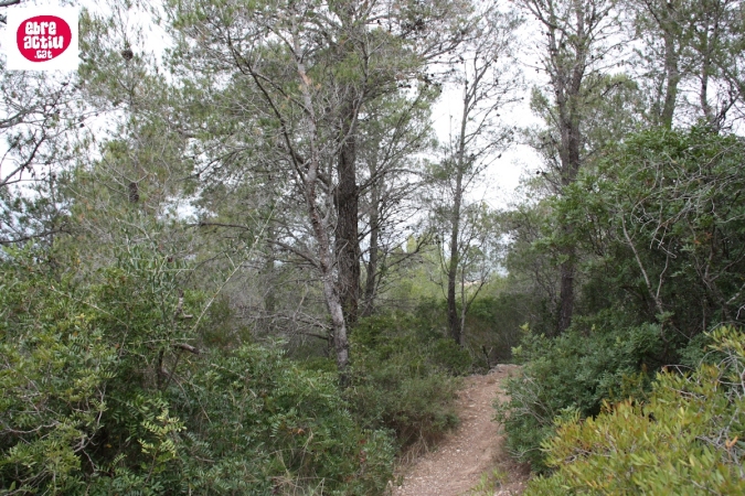 La Serreta de Freginals | EbreActiu.cat, revista digital d’oci actiu | Terres de l’Ebre ...