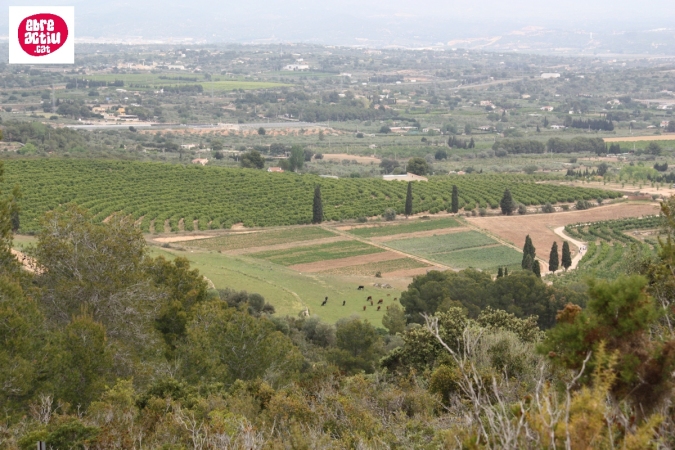 La Serreta de Freginals | EbreActiu.cat, revista digital d’oci actiu | Terres de l’Ebre ...