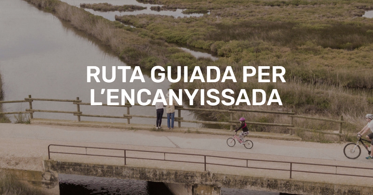 Ruta guiada amb bicicleta per la llacuna de lEncanyissada