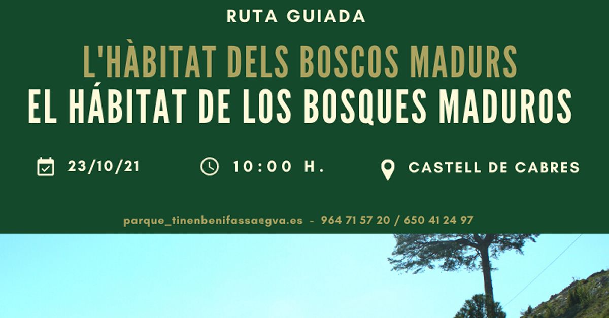 Ruta guiada:El hbitat de los Bosques Maduros