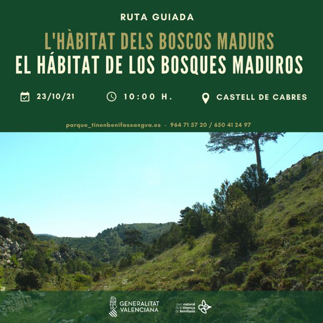 Ruta guiada: L’hbitat dels Boscos Madurs