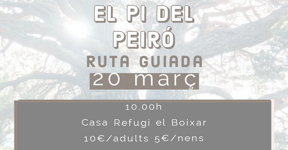 Ruta guiada: El Pi del Peir