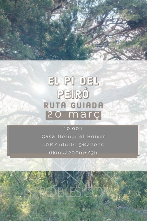 Ruta guiada: El Pi del Peir