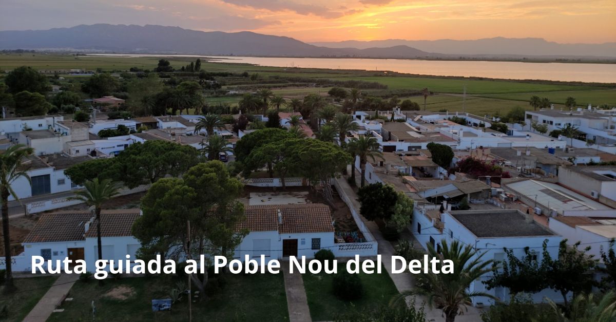 Visita guiada al Poble Nou del Delta