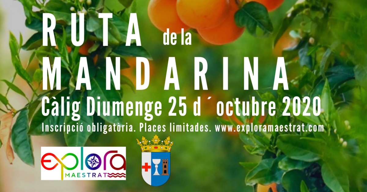 Ruta de la mandarina pel terme de Clig