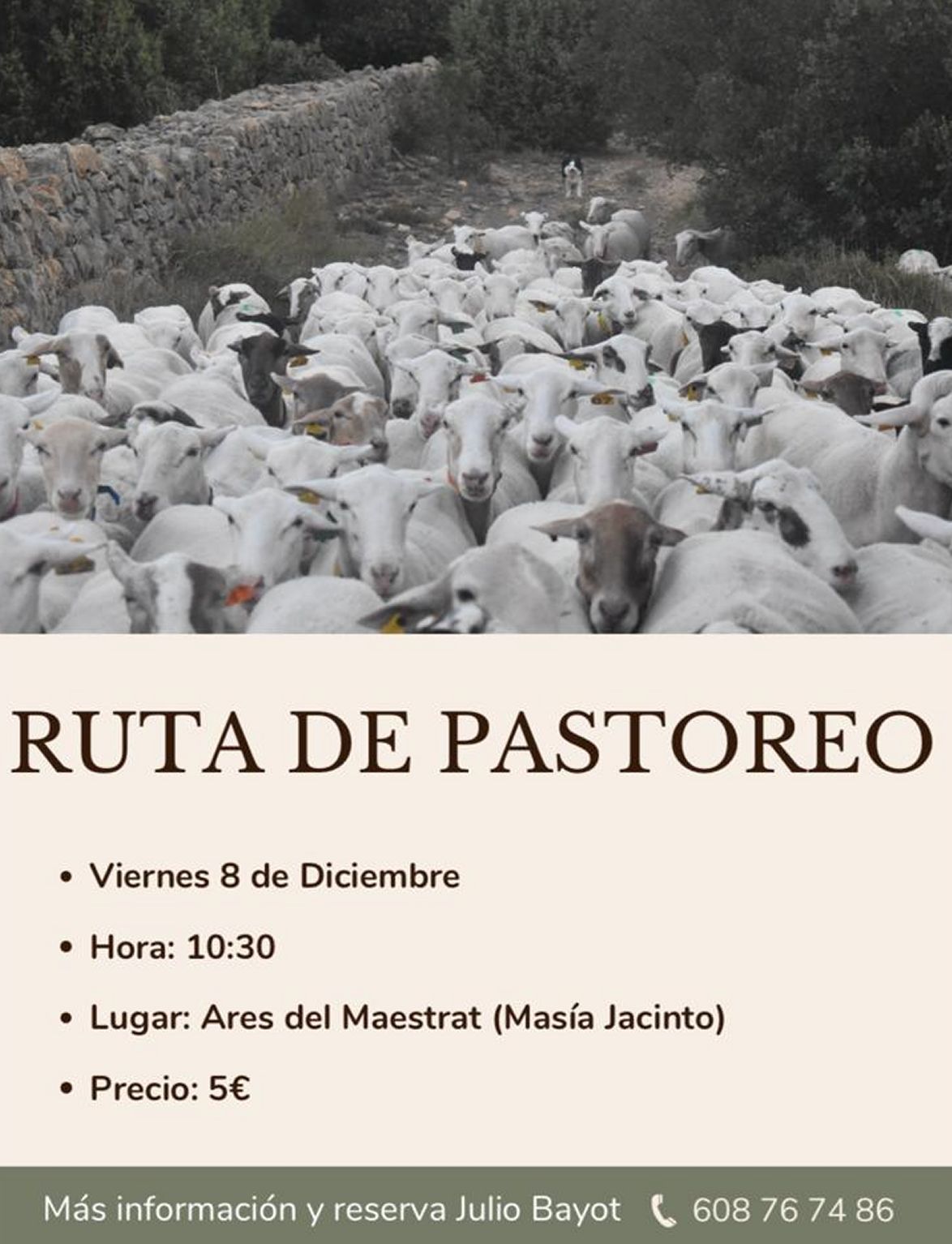 Ruta de pastoreig