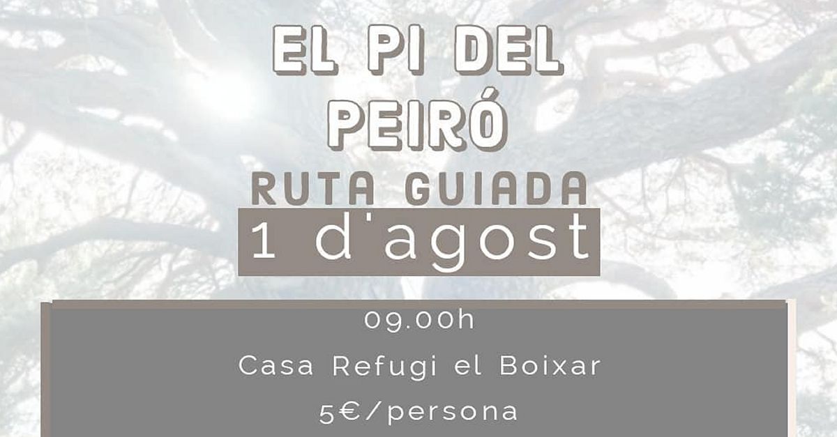 Ruta guiada El Pi del Peir