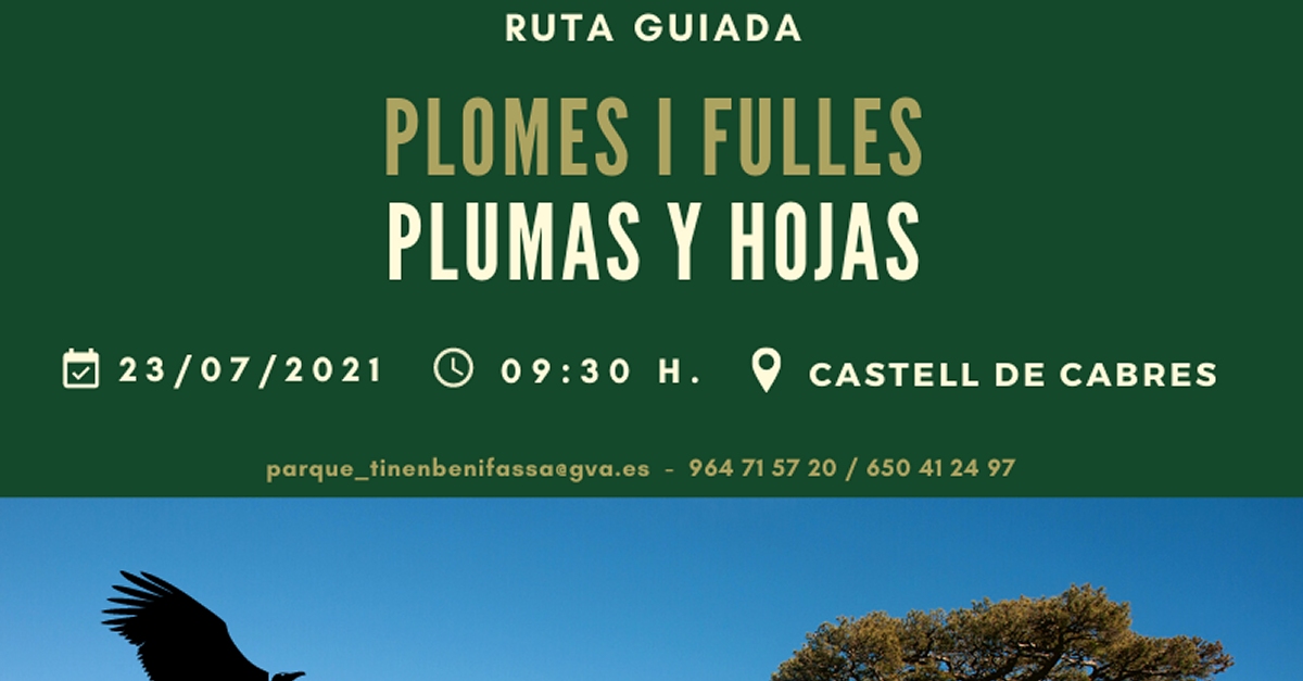 Ruta guiada a la Tinena de Benifass: Plomes i fulles