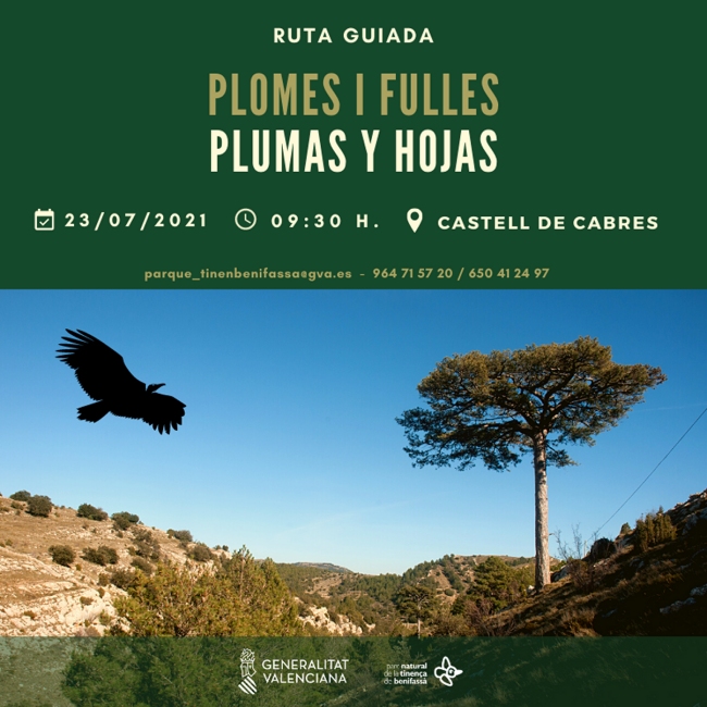 Ruta guiada a la Tinena de Benifass: Plomes i fulles