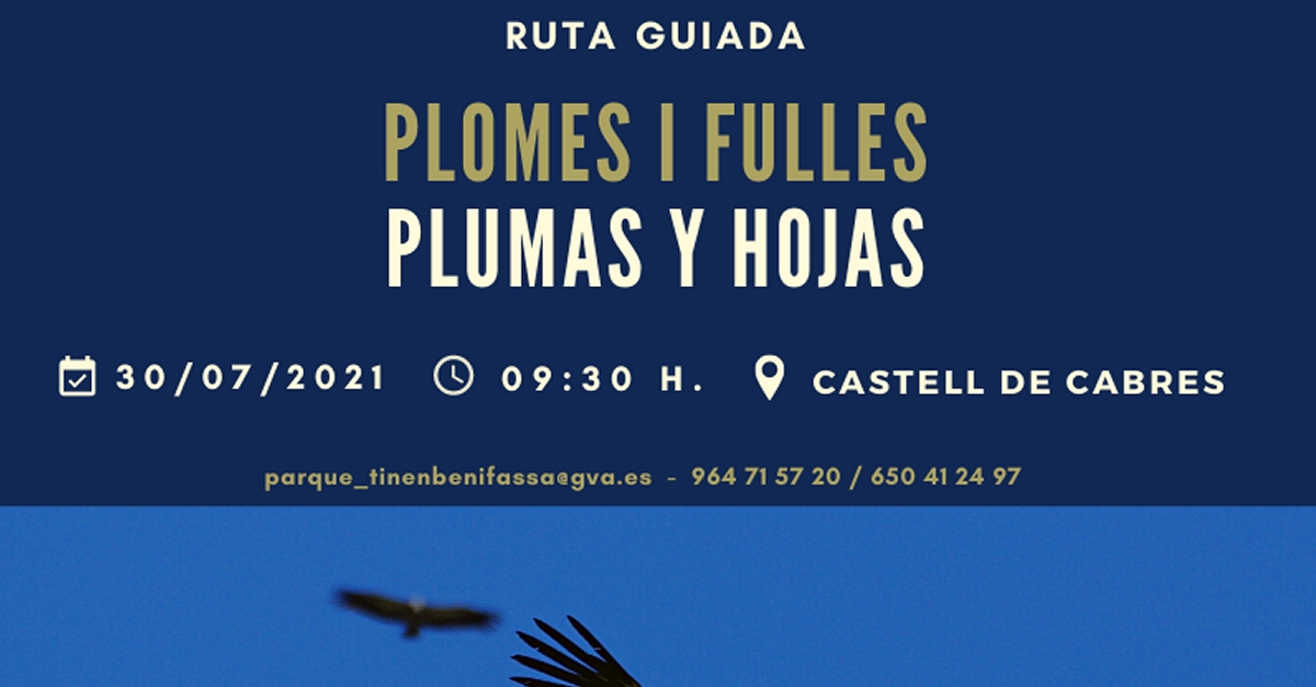 Ruta guiada a la Tinena de Benifass: Plomes i fulles