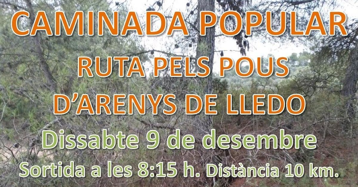 Caminada popular Ruta dels pous dArenys de Lled